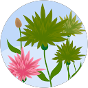 Erica Weber profile picture